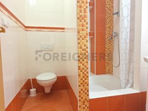 Pronájem bytu 1+kk, Olomouc, Panská, 25 m2