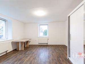 Pronájem bytu 1+kk, Tehovec, Na Hrázi, 61 m2