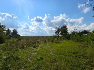 Prodej pozemku pro bydlení, Krušovice, 1250 m2