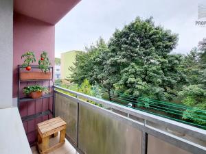 Prodej bytu 2+1, Židlochovice, sídl. Družba, 55 m2