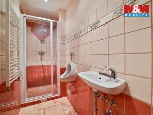 Pronájem bytu 2+1, Plzeň - Vnitřní Město, Bezručova, 95 m2