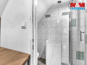 Prodej rodinného domu, Rokytnice nad Jizerou - Horní Rokytnice, 440 m2