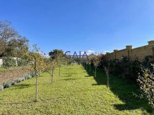 Prodej zahrady, Veselí nad Moravou, Ostrožská, 867 m2