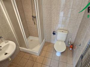 Pronájem bytu 1+kk, Tachov, Rokycanova, 24 m2