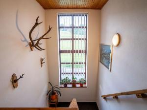 Prodej rodinného domu, Strážné, 450 m2