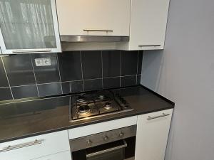 Pronájem bytu 3+1, Ostrava, Svojsíkova, 63 m2