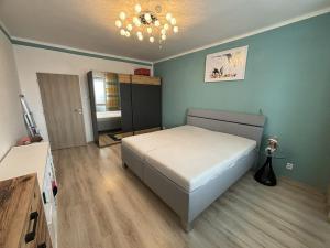 Pronájem bytu 3+1, Ostrava, Svojsíkova, 63 m2