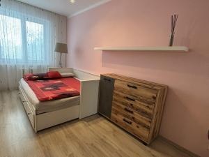 Pronájem bytu 3+1, Ostrava, Svojsíkova, 63 m2