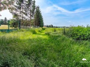 Prodej pozemku pro bydlení, Chodouň, 6455 m2