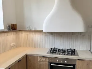 Pronájem rodinného domu, Praha - Dejvice, Na pískách, 381 m2
