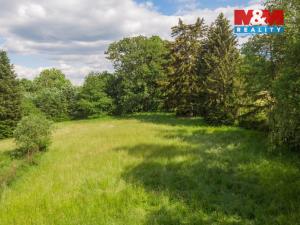 Prodej pozemku pro bydlení, Václavov u Bruntálu - Dolní Václavov, 3107 m2