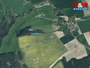 Prodej lesa, Močerady - Nové Dvory, 6098 m2