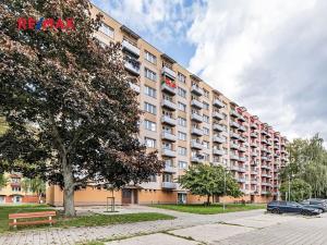 Prodej bytu 2+1, Jindřichův Hradec, sídliště Vajgar, 60 m2