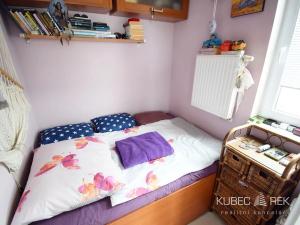 Pronájem bytu 3+kk, Tábor, Fibichova, 77 m2