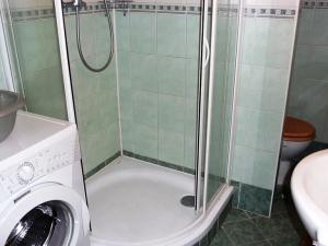 Pronájem bytu 1+kk, Teplice, Petra Jilemnického, 30 m2
