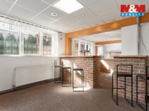 Prodej restaurace, Velké Heraltice, Opavská, 900 m2