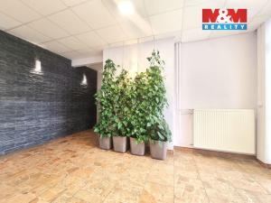 Pronájem kanceláře, Hodonín, Velkomoravská, 18 m2