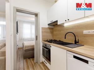 Prodej bytu 2+kk, Opava, Holasická, 38 m2
