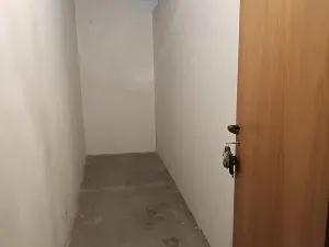 Prodej bytu 3+kk, Brno, Mánesova, 64 m2
