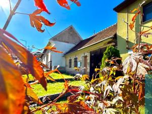 Prodej rodinného domu, Roštín, 91 m2