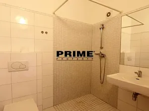 Pronájem bytu 6+kk a větší, Praha - Braník, Psohlavců, 293 m2
