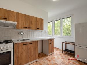 Pronájem bytu 4+1, Hradec Králové - Slezské Předměstí, Severní, 68 m2