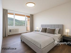 Prodej bytu 2+1, Ústí nad Labem - Střekov, Tolstého, 64 m2