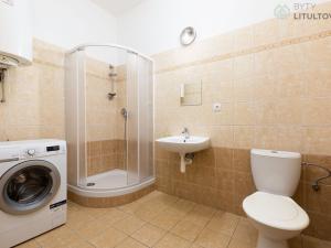 Prodej bytu 1+kk, Litultovice, 28 m2
