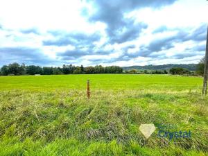 Prodej pozemku pro bydlení, Mariánské Lázně, 2253 m2