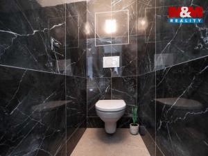 Pronájem bytu 1+1, Plzeň, Motýlí, 39 m2