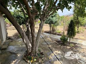 Prodej rodinného domu, Sofie, Bulharsko, 66 m2