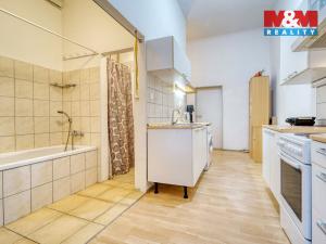 Pronájem bytu 3+kk, Plzeň - Vnitřní Město, Dominikánská, 89 m2