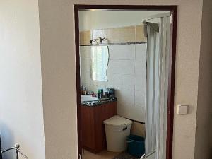 Prodej rodinného domu, Manětín, 250 m2