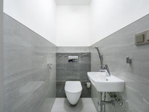 Pronájem bytu 1+kk, Plzeň - Severní Předměstí, Bolevecká, 37 m2