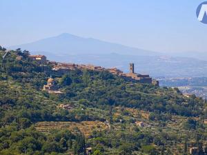 Prodej vily, Cortona, Itálie, 234 m2