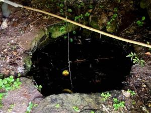 Prodej domu, Bystrá nad Jizerou, 130 m2