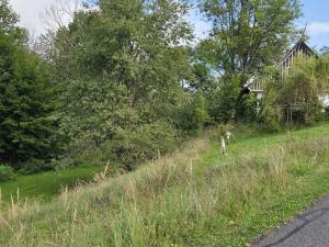 Prodej domu, Bystrá nad Jizerou, 130 m2