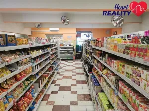 Pronájem obchodního prostoru, Hradec nad Moravicí, 270 m2