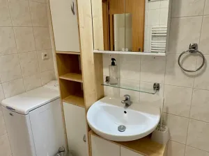 Prodej bytu 1+kk, Brno, Trýbova, 36 m2