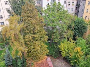 Pronájem bytu 2+kk, Praha, 50 m2