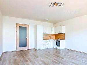 Pronájem bytu 1+kk, České Budějovice, Chelčického, 41 m2