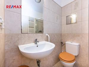 Pronájem bytu 1+kk, Praha - Čimice, Zaječická, 30 m2