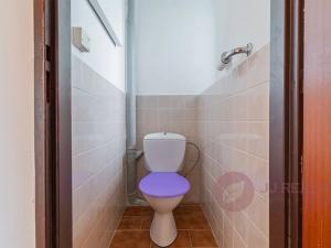 Prodej rodinného domu, Česká Bříza, 190 m2