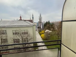 Pronájem bytu 1+kk, Prostějov, Netušilova, 35 m2
