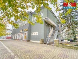 Pronájem bytu 1+1, Plzeň, Nepomucká, 23 m2