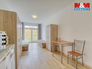 Pronájem bytu 1+1, Plzeň, Nepomucká, 23 m2