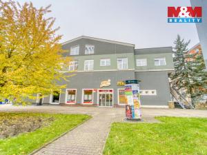 Pronájem bytu 1+1, Plzeň, Nepomucká, 23 m2