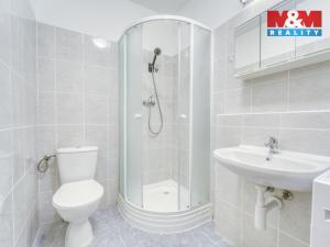 Pronájem bytu 1+1, Plzeň, Nepomucká, 23 m2