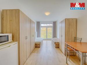 Pronájem bytu 1+1, Plzeň, Nepomucká, 23 m2