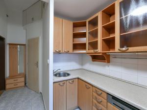Pronájem bytu 3+kk, Praha - Žižkov, Lupáčova, 57 m2